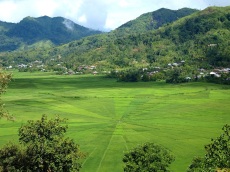 Manggarai spider-web rice fields near Ruteng, Flores