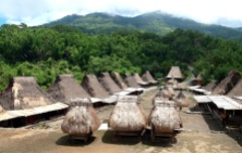 Bena, traditional Ngada village, Flores