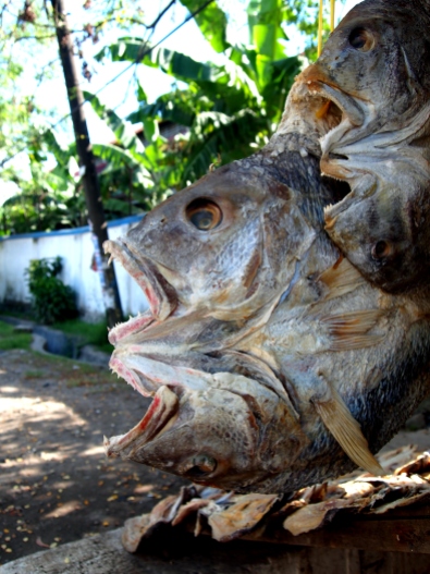 Dried fish sold on the street in Makassar