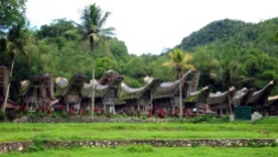Rice barns in Ke'te Kesu, Toraja