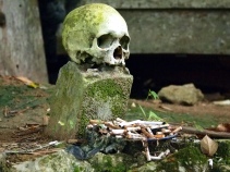 Skull and offerings in burial site, Ke'te Kesu