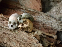 Skulls in burial site, Ke'te Kesu