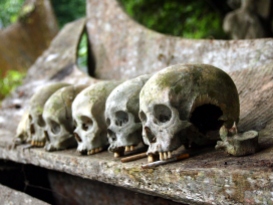 Skulls and cigarettes offerings in burial site, Ke'te Kesu, Toraja