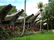 Rice barns in Ke'te Kesu, Toraja